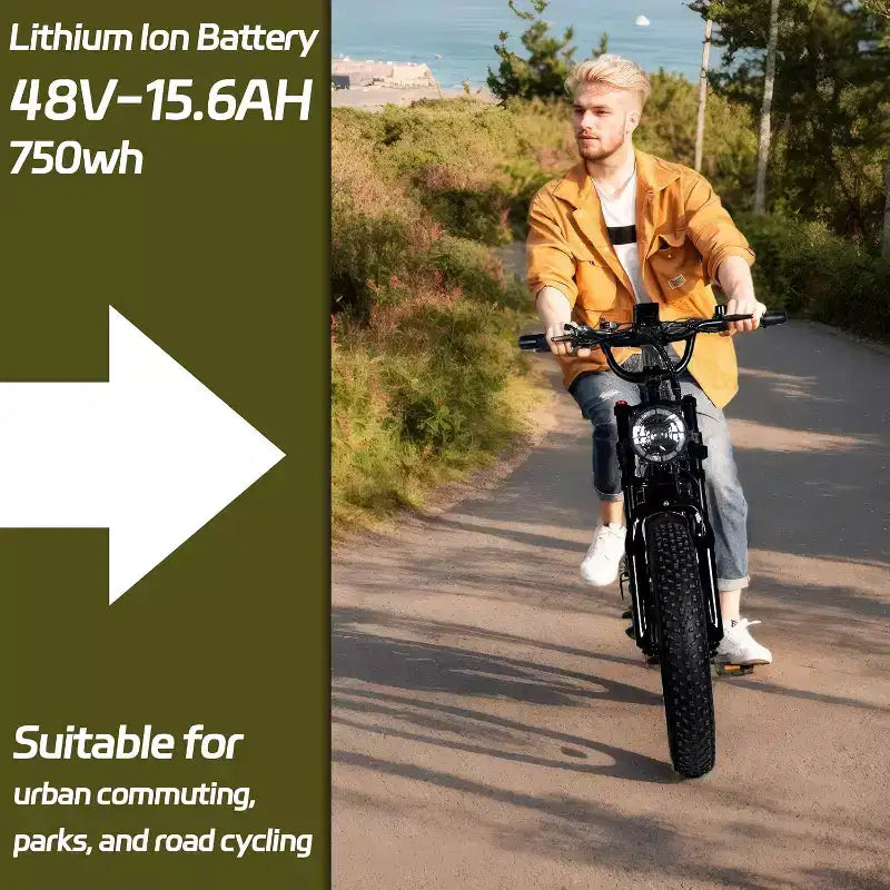 Vélo électrique tout-terrain pour adultes, pneus larges 20 x 4,0, moteur 750W avec batterie amovible 48V 15,6Ah