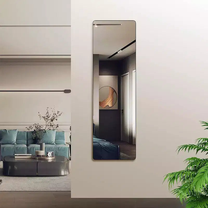 Whisen Miroir de porte mince 47x14 pouces, verre HD avec cadre en aluminium antirouille