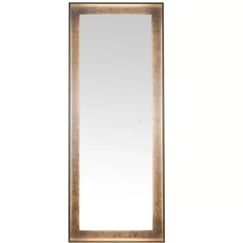 Miroir LED Montauk 22X65 - LMR1015 - Safavieh