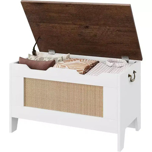 Acekool Decorative Storage Bench, Dual-Use Entryway Chest with Safety Hinge