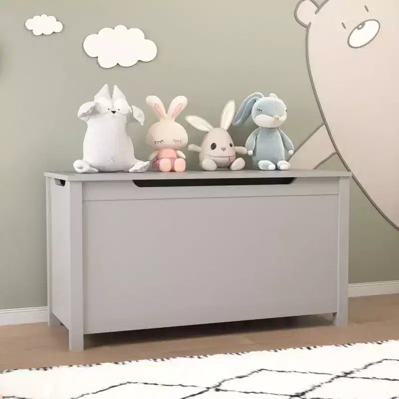 Coffre à jouets en bois pour enfants avec couvercle à charnière de sécurité, pour les 2 ans et plus (Gris)