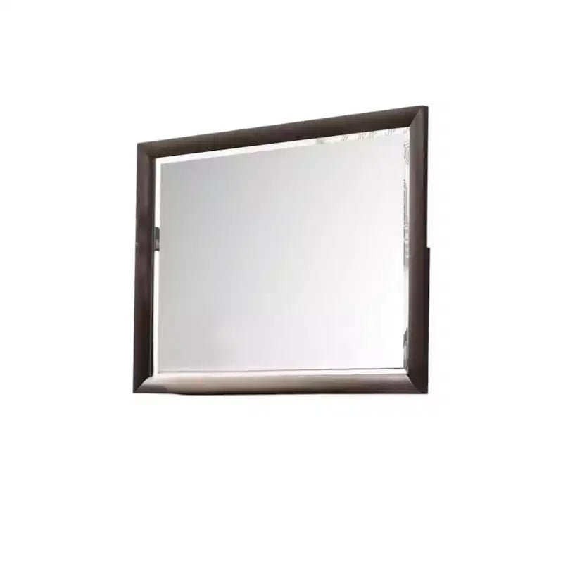 HomeRoots 36 Merlot Wood Framed Mounted Dresser Mirror