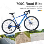 Whisen Vélo de route 28 pouces, vélo d'extérieur pour adultes avec 7 vitesses, cadre en alliage d'aluminium pour hommes et femmes