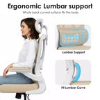 Chaise de bureau ergonomique en maille TUYOHW avec support lombaire réglable, appui-tête et accoudoirs relevables, chaise de bureau à domicile pour l'étude, salle de jeux