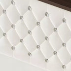 Cadre de lit plateforme capitonné en velours, taille Full/Queen, avec port USB et veilleuse, lit plateforme à dossier incurvé avec tête de lit décorée de rivets et étagère