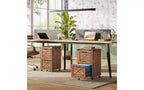DEXYLLO Meuble Classeur à 2 Tiroirs avec Dossiers Suspendus, Meuble de Rangement Mobile à Roulettes pour Bureau à Domicile, Classeur Sous Bureau avec Serrure
