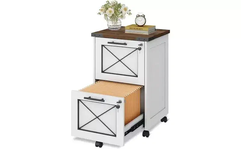DEXYLLO Meuble Classeur à 2 Tiroirs avec Dossiers Suspendus, Meuble de Rangement Mobile à Roulettes pour Bureau à Domicile, Classeur Sous Bureau avec Serrure