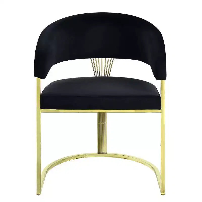Fauteuil d'appoint Fallon 50,8 cm Velours noir/Or miroir - Acme Furniture : Aucun assemblage, cadre en acier inoxydable
