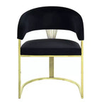 Fauteuil d'appoint Fallon 50,8 cm Velours noir/Or miroir - Acme Furniture : Aucun assemblage, cadre en acier inoxydable