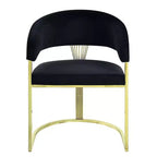 Fauteuil d'appoint Fallon 50,8 cm Velours noir/Or miroir - Acme Furniture : Aucun assemblage, cadre en acier inoxydable
