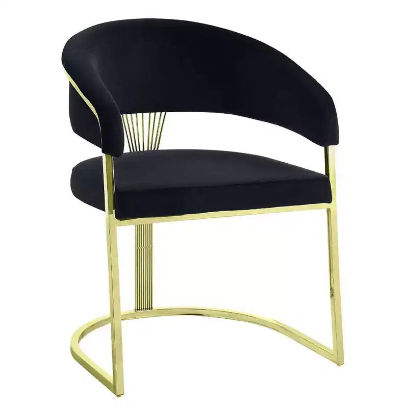 Fauteuil d'appoint Fallon 50,8 cm Velours noir/Or miroir - Acme Furniture : Aucun assemblage, cadre en acier inoxydable