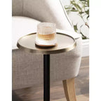 Table d'appoint en métal Sanzo de Kate et Laurel