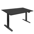 Mount-It! Dual Motor Electric Standing Desk with 55 Tabletop, Black
