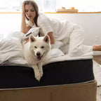 Matelas hybride à ressorts et à mémoire de forme Lincove 12 pouces - Matelas mi-ferme certifié CertiPUR-US - Soutien adaptatif, soulagement de la pression - Fabriqué aux États-Unis