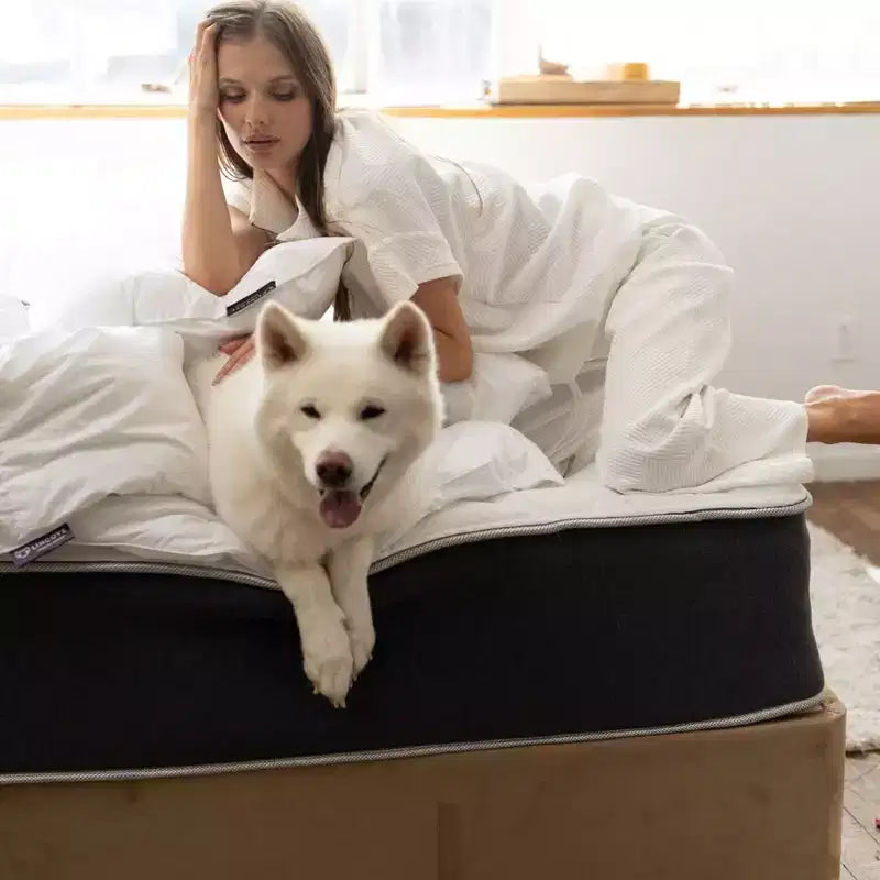 Matelas hybride à ressorts et à mémoire de forme Lincove 12 pouces - Matelas mi-ferme certifié CertiPUR-US - Soutien adaptatif, soulagement de la pression - Fabriqué aux États-Unis