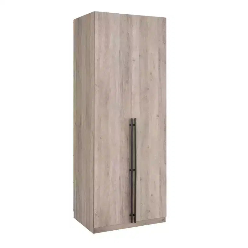 Armoire penderie Manhattan Comfort Lee 2 portes et 2 tiroirs