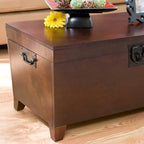 Table basse coffre de rangement Liatris de style transitionnel en bois d'expresso par SEI Furniture