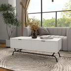 Table basse Denhour DH BASIC Modern 2 tiroirs de 42 pouces avec pieds en métal
