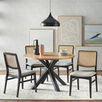 Chaises de salle à manger en rotin Gilcrest de Lifestorey (Lot de 2)