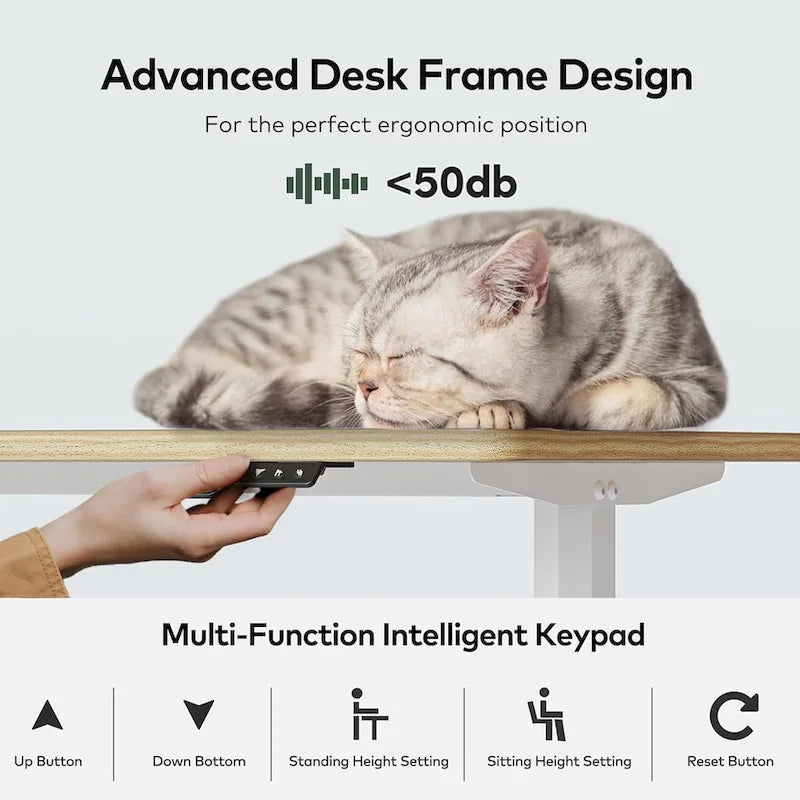 Bureau réglable en hauteur électrique FEZIBO, Table debout, Bureau de travail assis-debout avec plateau en plusieurs parties