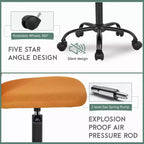 FDW Chaise de Bureau Dossier Moyen en Maille Chaise d'Ordinateur sans Accoudoirs Chaise Pivotante à Roulettes avec Support Lombaire