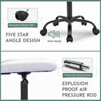 FDW Chaise de Bureau Dossier Moyen en Maille Chaise d'Ordinateur sans Accoudoirs Chaise Pivotante à Roulettes avec Support Lombaire