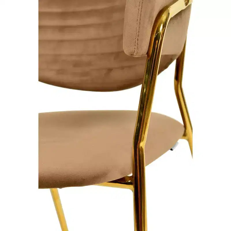 Chaise de salle à manger LeisureMod recouverte de cuir et de velours, assise et dossier rembourrés ergonomiques, piètement en acier inoxydable durable Fauteuil d'appoint Série Bella