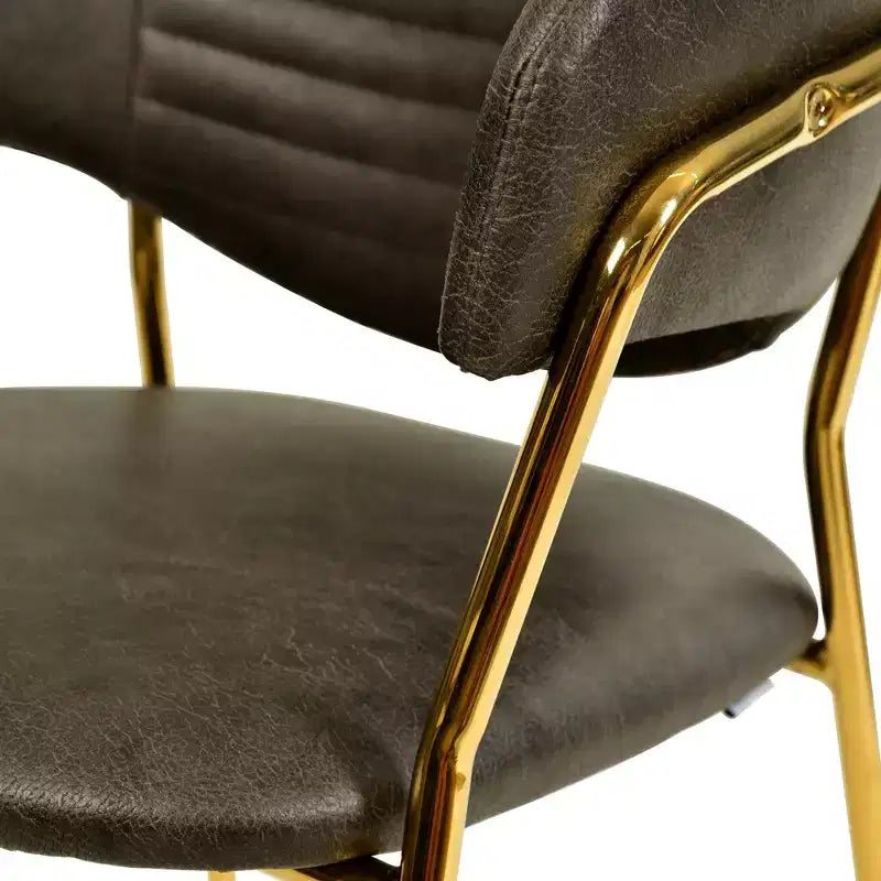 Chaise de salle à manger LeisureMod recouverte de cuir et de velours, assise et dossier rembourrés ergonomiques, piètement en acier inoxydable durable Fauteuil d'appoint Série Bella