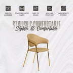 Chaise de salle à manger LeisureMod recouverte de cuir et de velours, assise et dossier rembourrés ergonomiques, piètement en acier inoxydable durable Fauteuil d'appoint Série Bella