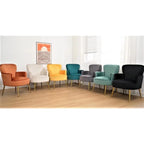 Fauteuil d'appoint tendance en velours US Pride Furniture avec pieds en métal doré