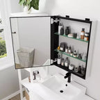 PexFix Armoire à pharmacie encastrable/en saillie rectangulaire 26x20 avec miroir