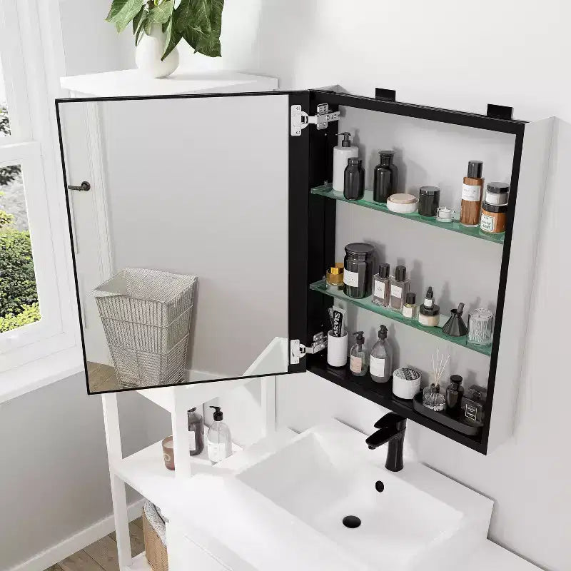 PexFix Armoire à pharmacie encastrable/en saillie rectangulaire 26x20 avec miroir