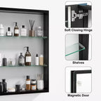PexFix Armoire à pharmacie encastrable/en saillie rectangulaire 26x20 avec miroir