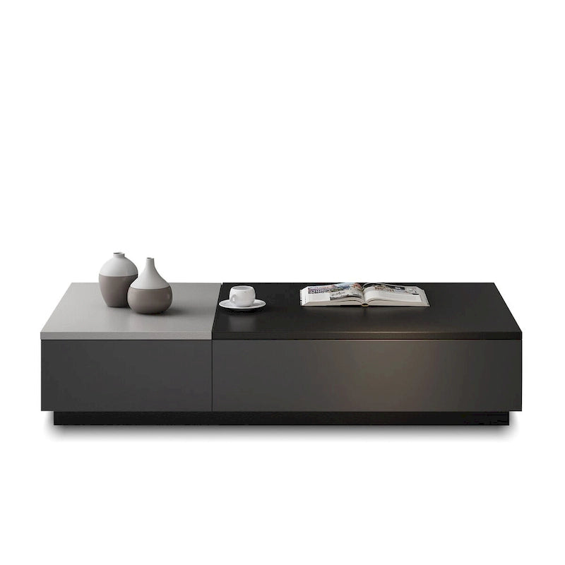 51.18 Table basse relevable avec compartiment de rangement caché et 2 tiroirs